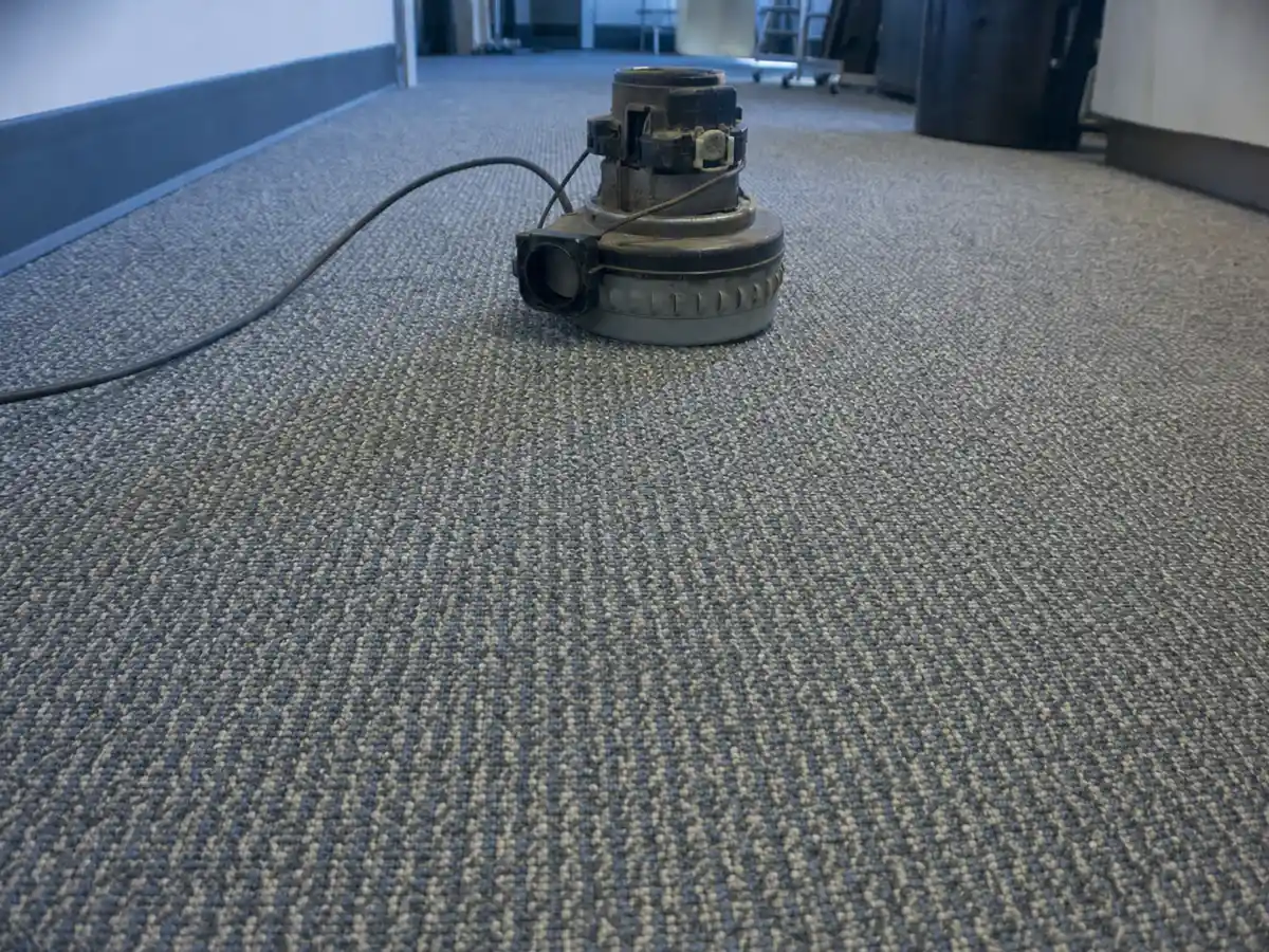 Commercial Carpet Cleaning in Marina Del Rey, CA