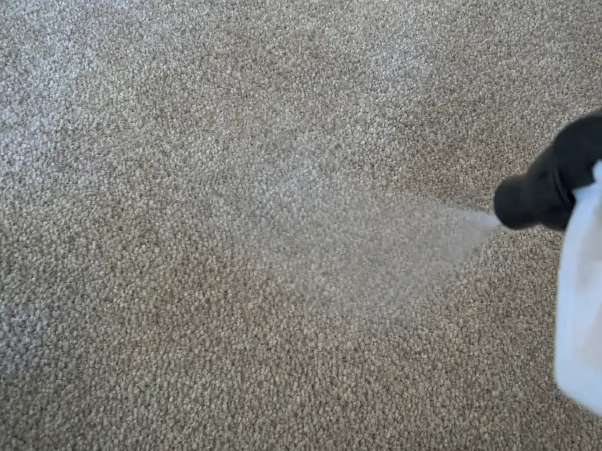 Carpet Deodorizing in Marina Del Rey, CA