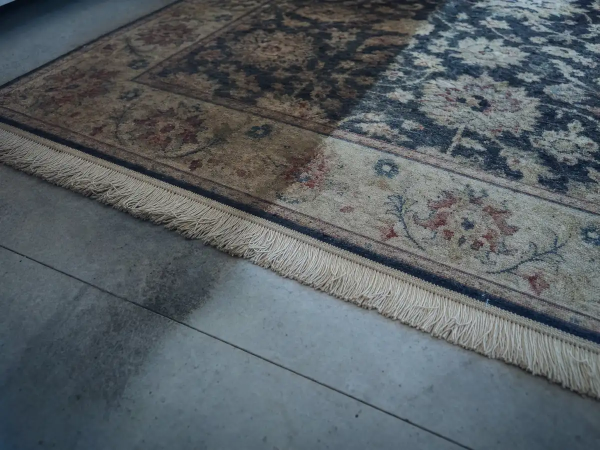 Rug Cleaning in Marina Del Rey, CA